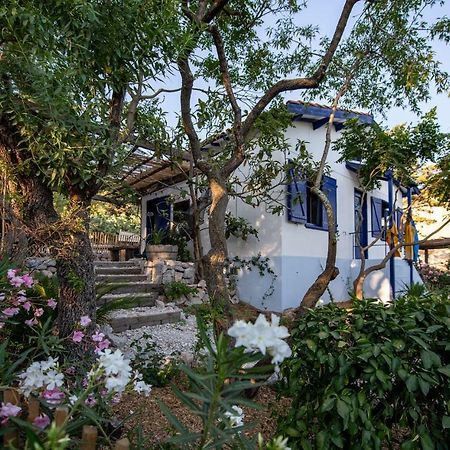 Les Maisons De Pecheurs Sète Zewnętrze zdjęcie